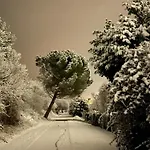 Evergreen 3*