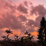 Bed & Breakfast Evergreen