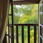 Bed & Breakfast Evergreen