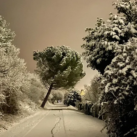 Evergreen 3*